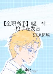 【全职高手】嘘，神——枪手在发言