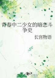 青春中二少女的暗恋斗争史