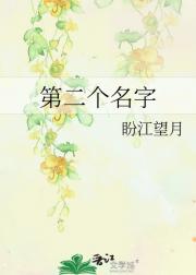 第二个名字
