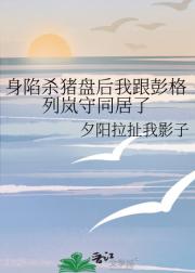 身陷杀猪盘后我跟彭格列岚守同居了