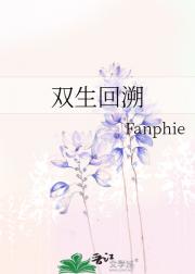 双生回溯