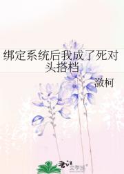 绑定系统后我成了死对头搭档