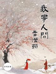 我寄人间雪满头
