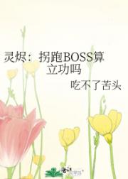 灵烬：拐跑BOSS算立功吗