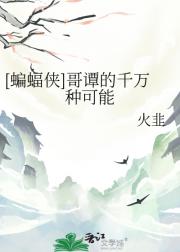 [蝙蝠侠]哥谭的千万种可能