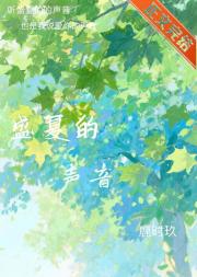 盛夏的声音