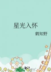 星光入怀