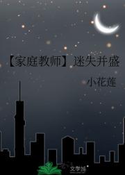 【家庭教师】迷失并盛