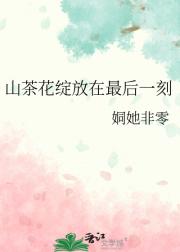 山茶花绽放在最后一刻