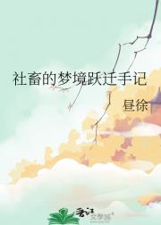 社畜的梦境跃迁手记