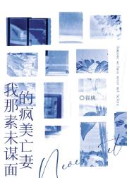 我那素未谋面的疯美亡妻