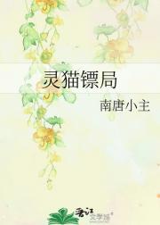 灵猫镖局