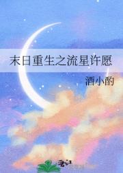 末日重生之流星许愿