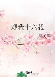观我十六载