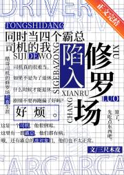 同时当四个霸总司机的我陷入修罗场