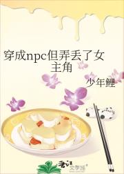 穿成npc但弄丢了女主角