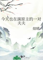 今天也在演原主的一对夫夫