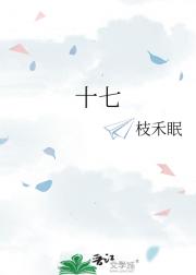 十七