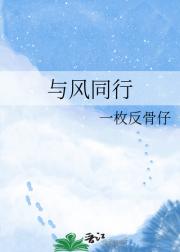 与风同行