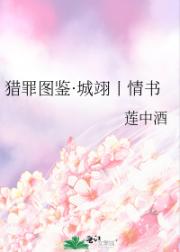 猎罪图鉴·城翊丨情书