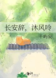 长安辞，沐风呤