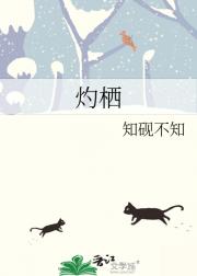 灼栖