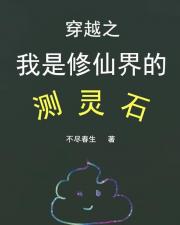 穿越之我是修仙界的测灵石