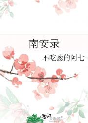 南安录