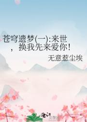 苍穹遗梦(一):来世，换我先来爱你！