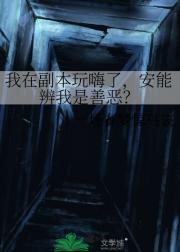 我在副本玩嗨了，安能辨我是善恶？