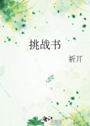 挑战书