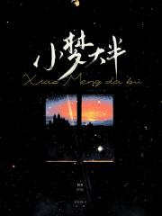 小梦大半