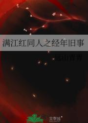 满江红同人之经年旧事