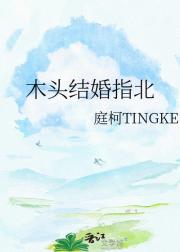 木头结婚指北