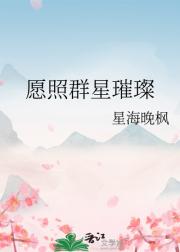 愿照群星璀璨