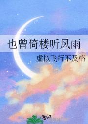 也曾倚楼听风雨