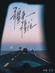 疆来疆往