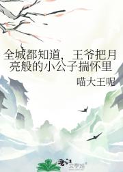 全城都知道，王爷把月亮般的小公子揣怀里