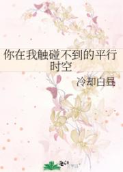 你在我触碰不到的平行时空