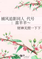 捕风追影同人  代号：喜羊羊～
