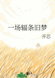 一场辐条旧梦