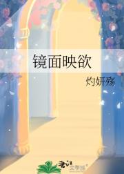 镜面心轨