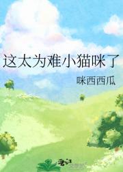 这太为难小猫咪了