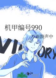 机甲编号990