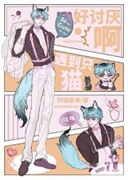 好讨厌啊遇到只猫