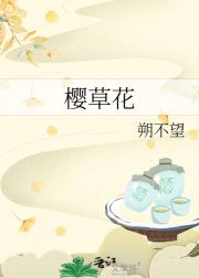 樱草花