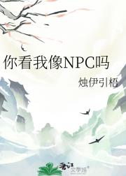 你看我像NPC吗