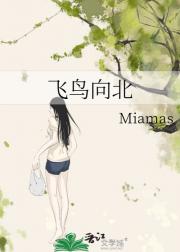 飞鸟向北