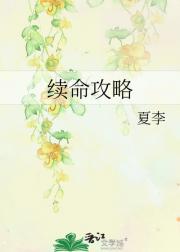 续命攻略