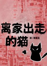 离家出走的猫